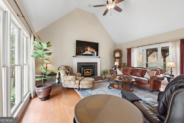 living room featuring a fireplace, wood finished floors, and a wealth of natural light