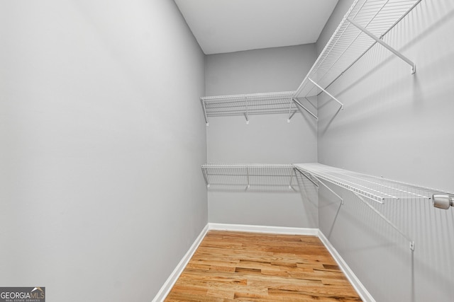 spacious closet with light wood-type flooring