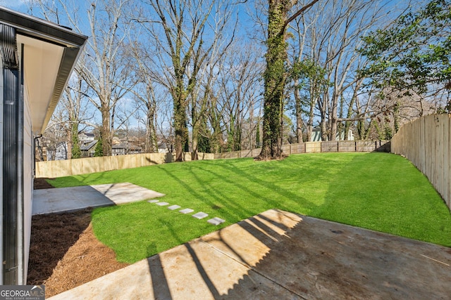 view of yard featuring a patio and a fenced backyard