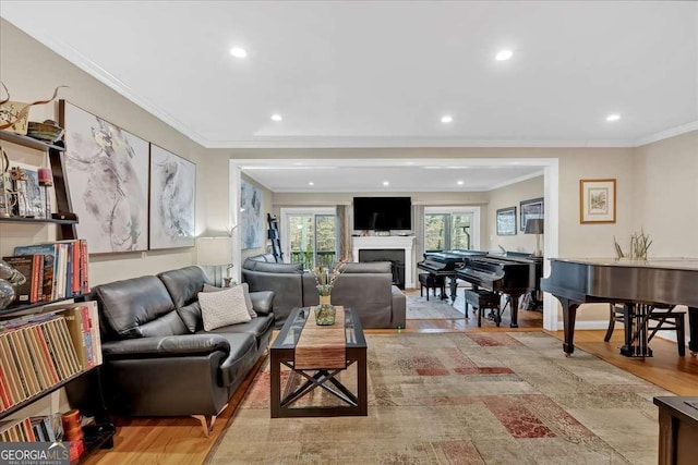 living area featuring a fireplace, ornamental molding, wood finished floors, and recessed lighting