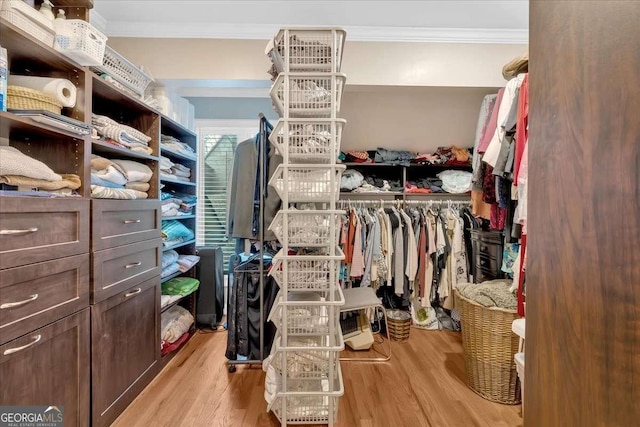 walk in closet with wood finished floors