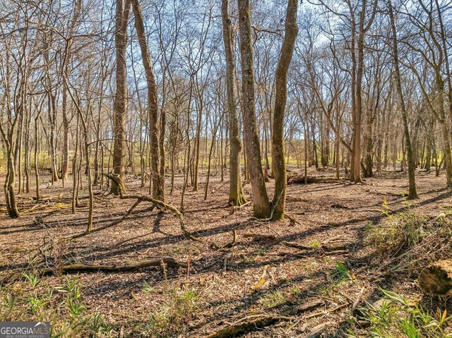 208 Orchard Rd, Perry, GA 31069