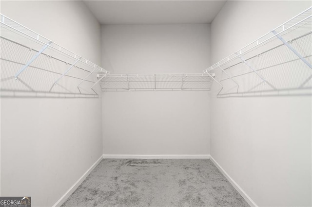 walk in closet with carpet floors