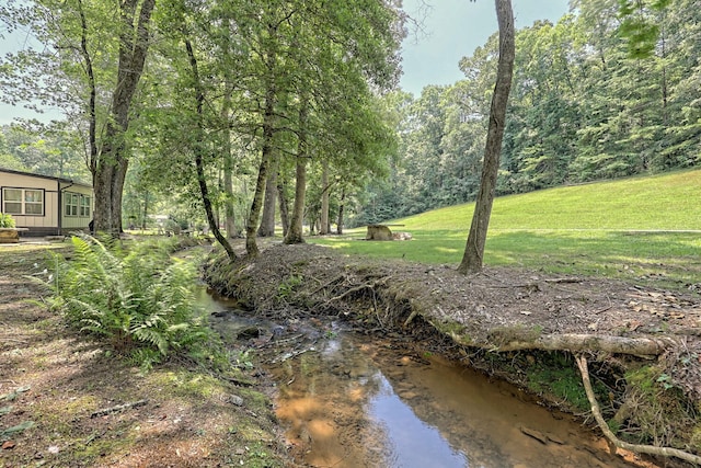 view of yard featuring a wooded view