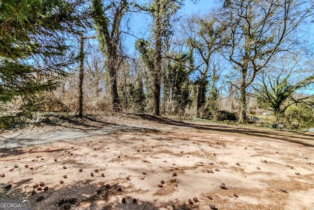 238 Howell Dr SW, Atlanta, GA 30331 - view of yard