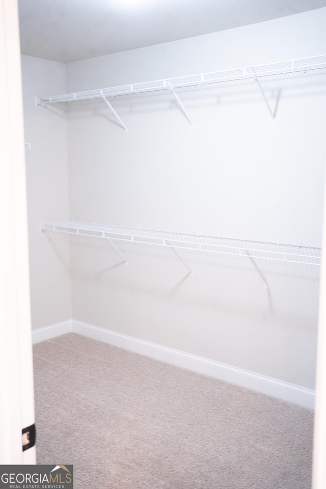 walk in closet featuring carpet floors