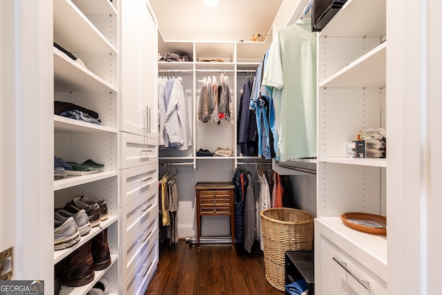 spacious closet featuring dark wood finished floors