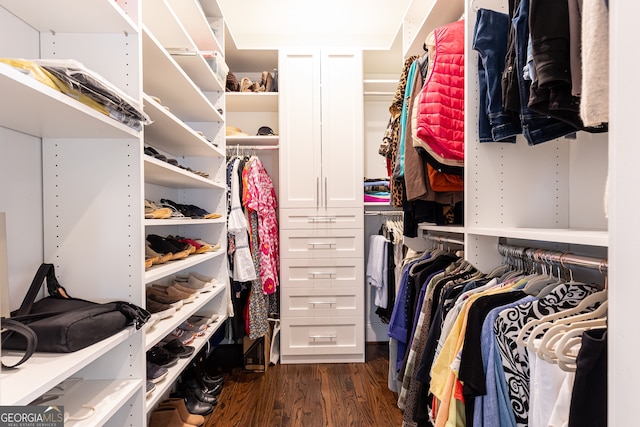 spacious closet featuring dark wood-style flooring