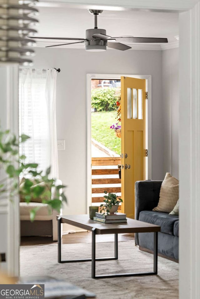 interior space featuring ceiling fan, ornamental molding, and wood finished floors