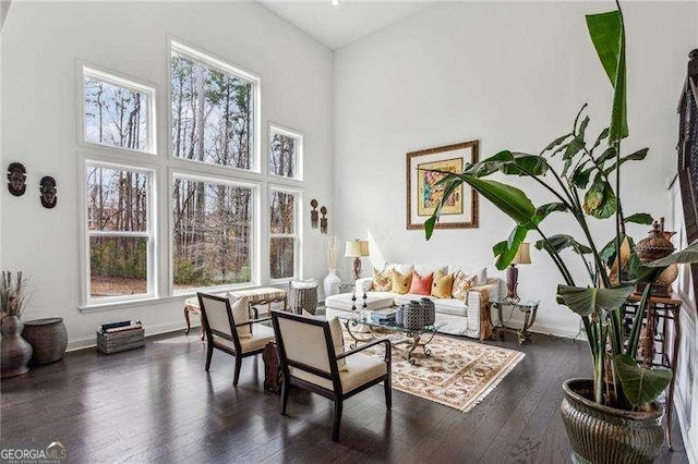 sitting room with baseboards, a high ceiling, dark wood finished floors, and a healthy amount of sunlight