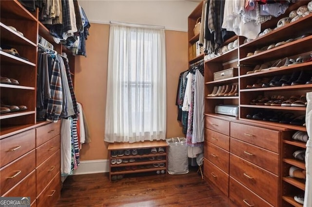 walk in closet featuring dark wood-style floors