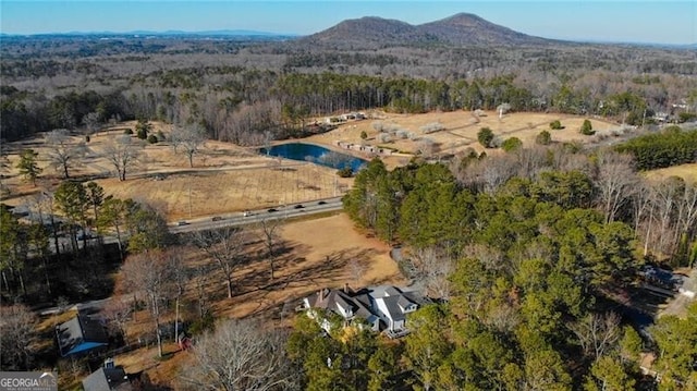 birds eye view of property with a forest view and a mountain view