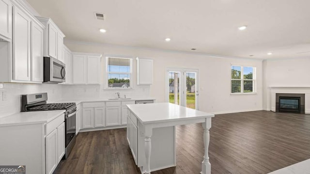 1069 Blue Juniper Cir, Loganville, GA 30052 - kitchen featuring stainless steel appliances, tasteful backsplash, visible vents, a glass covered fireplace, and a sink
