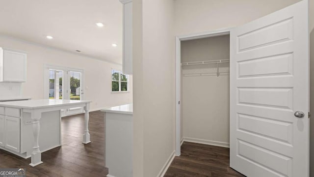 1069 Blue Juniper Cir, Loganville, GA 30052 - view of closet