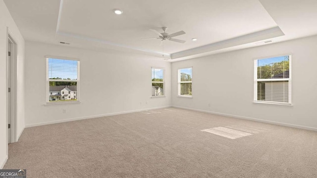 1069 Blue Juniper Cir, Loganville, GA 30052 - empty room with a wealth of natural light, baseboards, a tray ceiling, and carpet flooring