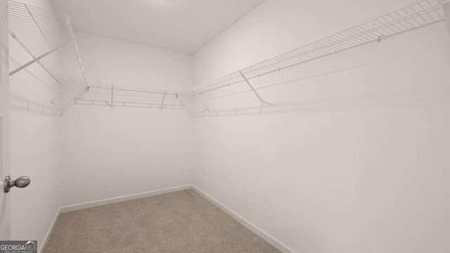 1069 Blue Juniper Cir, Loganville, GA 30052 - spacious closet with carpet flooring
