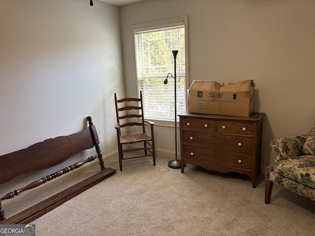 living area featuring carpet floors, a wealth of natural light, and baseboards