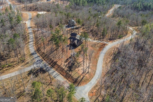 bird's eye view with a forest view