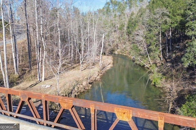 water view featuring a forest view