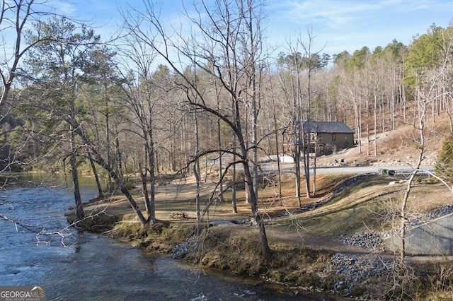 view of yard featuring a wooded view