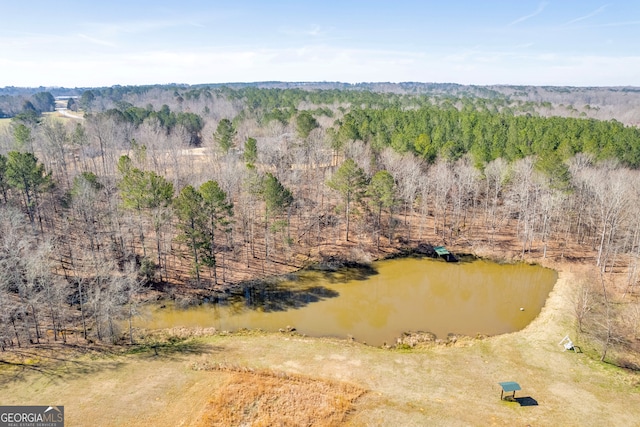 bird's eye view with a water view and a wooded view