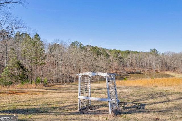 view of yard featuring a wooded view