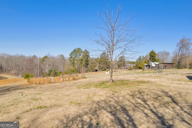 view of yard with a rural view