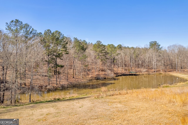 view of nature with a water view and a forest view