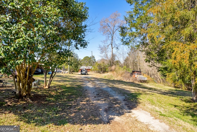 view of street with dirt driveway