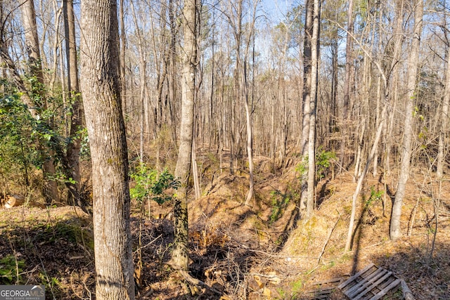 view of local wilderness featuring a forest view