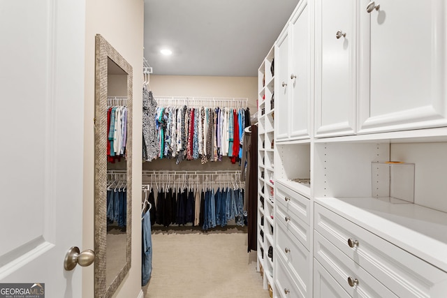 view of walk in closet