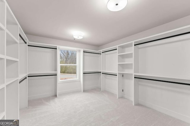 spacious closet with light carpet