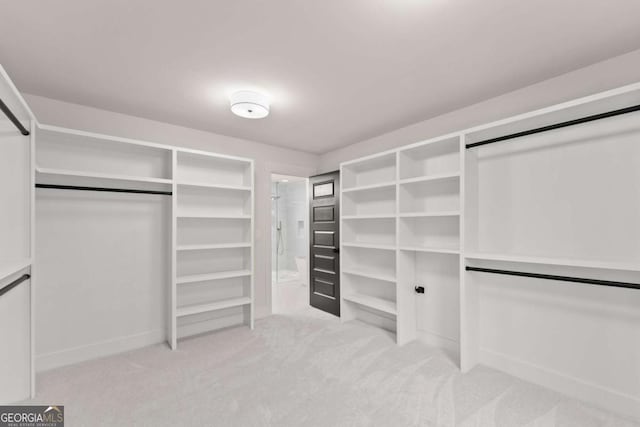 walk in closet with light colored carpet