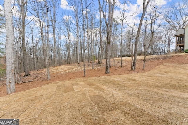 view of yard with driveway