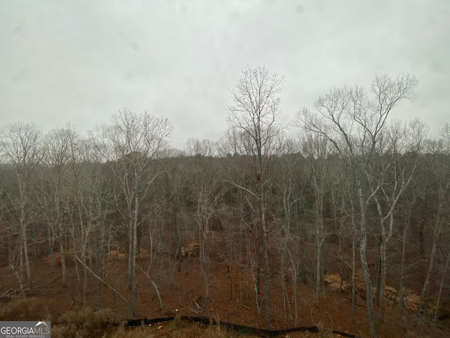 view of nature featuring a wooded view