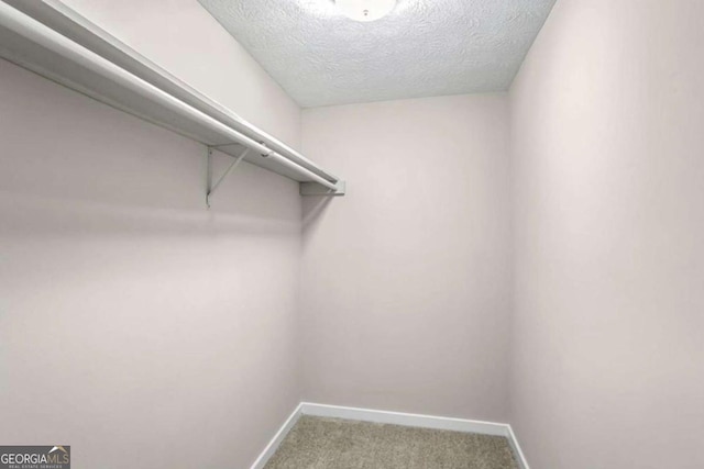 spacious closet with carpet