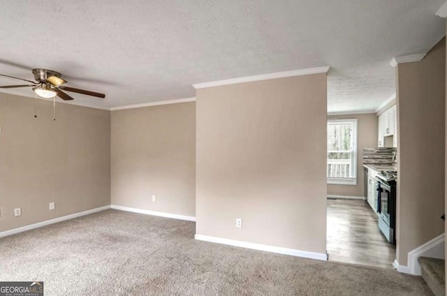 interior space featuring light carpet, a textured ceiling, baseboards, and crown molding