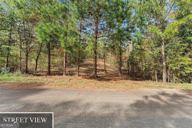 Listing photo 2 for 0 Russell Ridge Dr, Elberton GA 30635