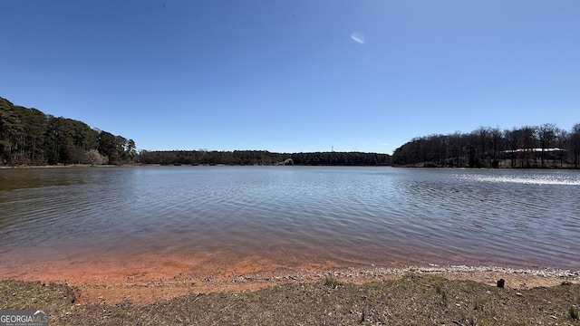 water view with a wooded view