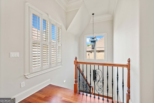 corridor with crown molding, baseboards, wood finished floors, and an upstairs landing