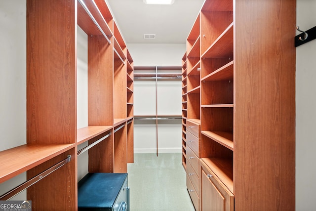 spacious closet featuring carpet and visible vents