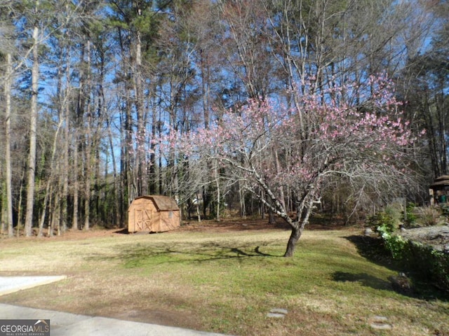 view of yard featuring a storage unit and an outdoor structure