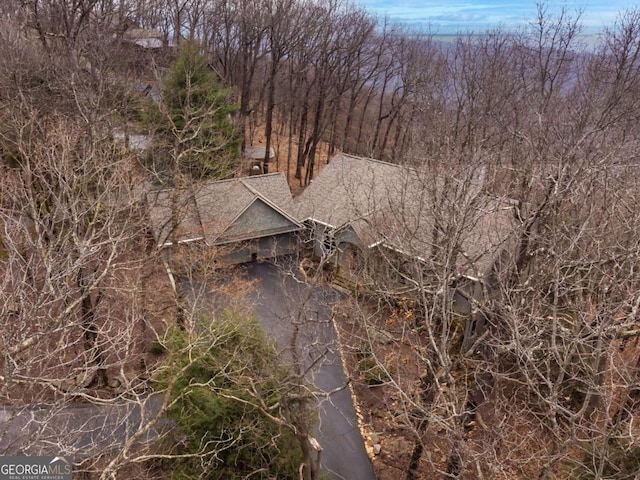 132 Sanderlin Mountain Dr S, Big Canoe, GA 30143 - view of nature