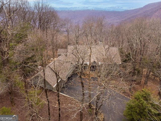 132 Sanderlin Mountain Dr S, Big Canoe, GA 30143 - view from above of property featuring a forest