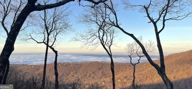 132 Sanderlin Mountain Dr S, Big Canoe, GA 30143 - water view with a heavily wooded area