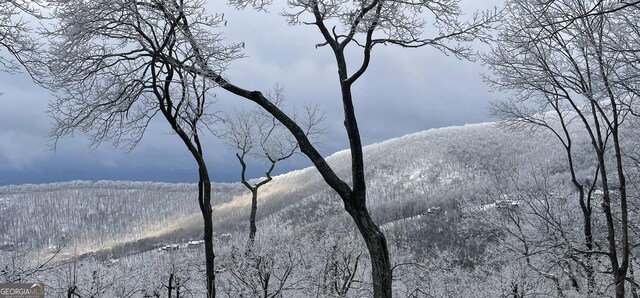 132 Sanderlin Mountain Dr S, Big Canoe, GA 30143 - view of mountain background featuring a heavily wooded area