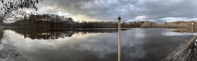 water view with a wooded view