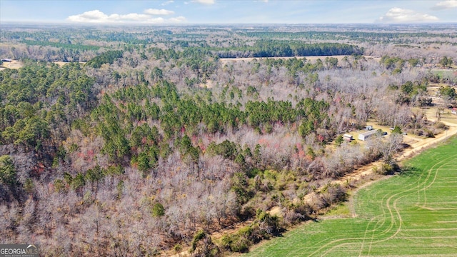 aerial view with a forest view