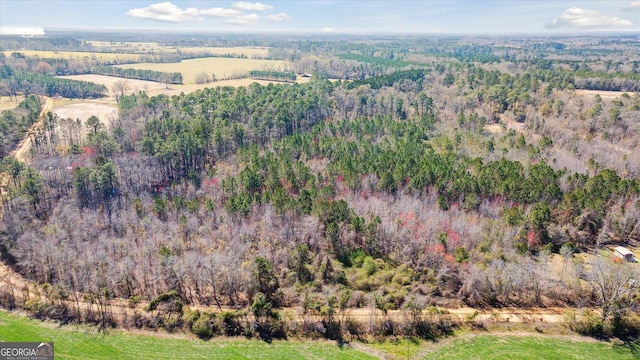 bird's eye view with a wooded view