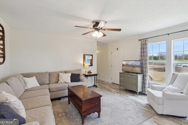 living room with a ceiling fan, baseboards, ornamental molding, a textured ceiling, and light wood-type flooring